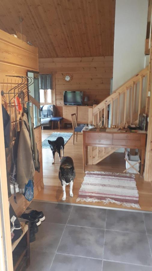 Savutaival Villa Pello Dış mekan fotoğraf